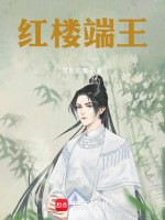 小说《红楼端王txt最新章节更新信息》封面
