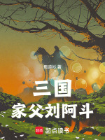 小说《三国刘三》封面