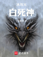 小说《冰与火snow》封面