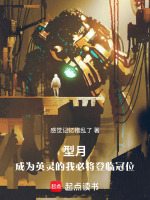 小说《型月,成为英灵的我必将登临冠位小说》封面