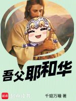 小说《向教皇发动十字军的原因》封面