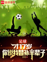 小说《足球十七岁小将》封面