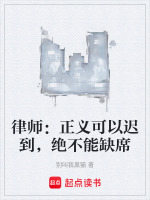 小说《正义不会迟到原句》封面