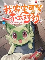 小说《我的宝可梦不太对劲百度网盘》封面