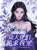 小说《恶女也要》封面
