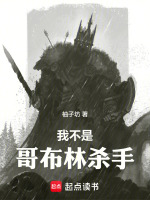 小说《我不是哥布林杀手在线》封面