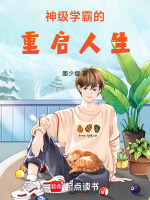 小说《我的天才女友书名》封面