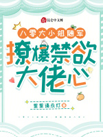 小说《八零随军文》封面