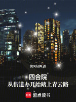 小说《四合院街道图片》封面