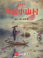 小说《风起1981林启风》封面