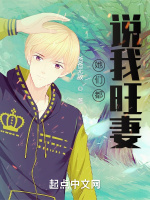 小说《她们都说我旺妻怎么回复》封面