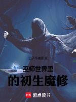 小说《巫师圣所在哪》封面