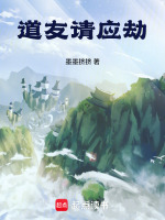 小说《道友，请应劫》封面