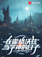 小说《在霍格沃茨当》封面