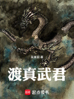 小说《渡真武君》封面