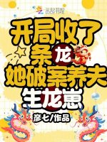 小说《清冷美人策》封面