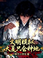 小说《文明模拟器视频》封面