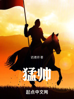 小说《猛帅小说免费阅读全文》封面