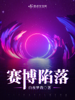 小说《赛博陷落小说》封面