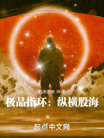 小说《极品指环：纵横股海》封面