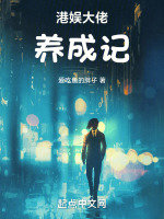 小说《港台娱乐圈大佬小说》封面